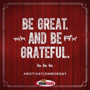 Meet your Posher, Nolan